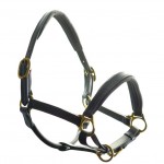 ASCOT PADDED LEATHER HEADCOLLAR