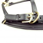 ASCOT PADDED LEATHER HEADCOLLAR