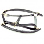 ASCOT PADDED LEATHER HEADCOLLAR